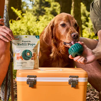 Unleash The Ultimate Playtime Essential